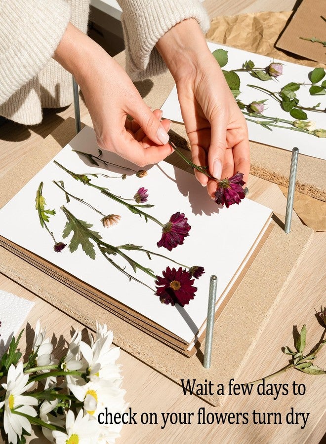 Ecoofor Blotting Paper for Flower Press, 20 Sheets Large A4 Highly Absorbent and Reusable Blotter Paper for Flower Press Paper Craft 8.26 x 11.4 inch - Image 5